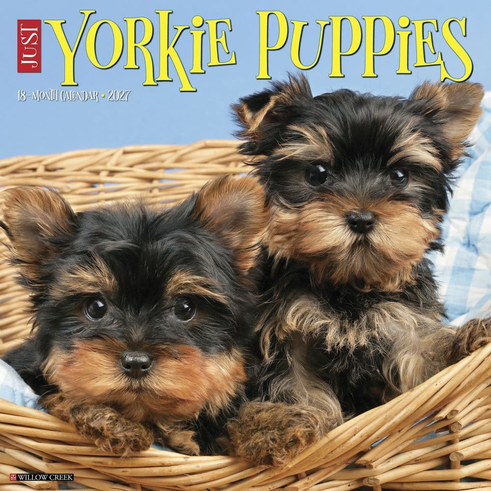 Just Yorkie Puppies 2027 Wall Calendar