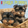 image Just Yorkie Puppies 2027 Wall Calendar Main Product Image