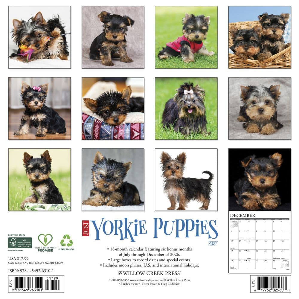 Just Yorkie Puppies 2027 Wall Calendar First Alternate Image