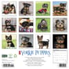 image Just Yorkie Puppies 2027 Wall Calendar First Alternate Image