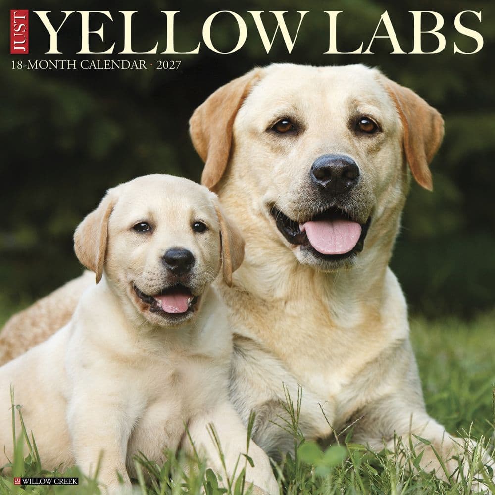 image Just Yellow Labs 2027 Wall Calendar Main Product Image
