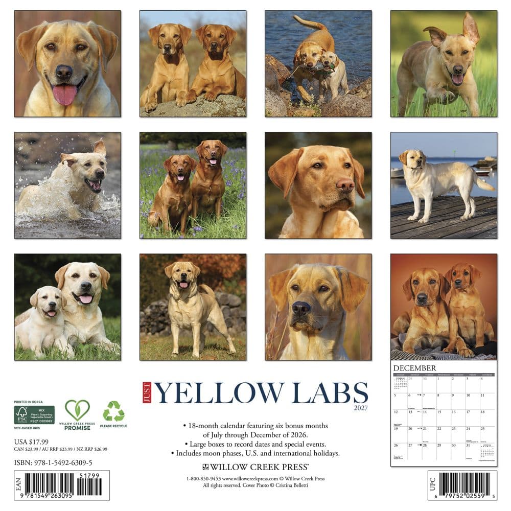 Just Yellow Labs 2027 Wall Calendar First Alternate Image