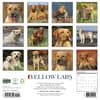 image Just Yellow Labs 2027 Wall Calendar First Alternate Image