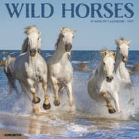 image Wild Horses 2027 Wall Calendar Main Product Image