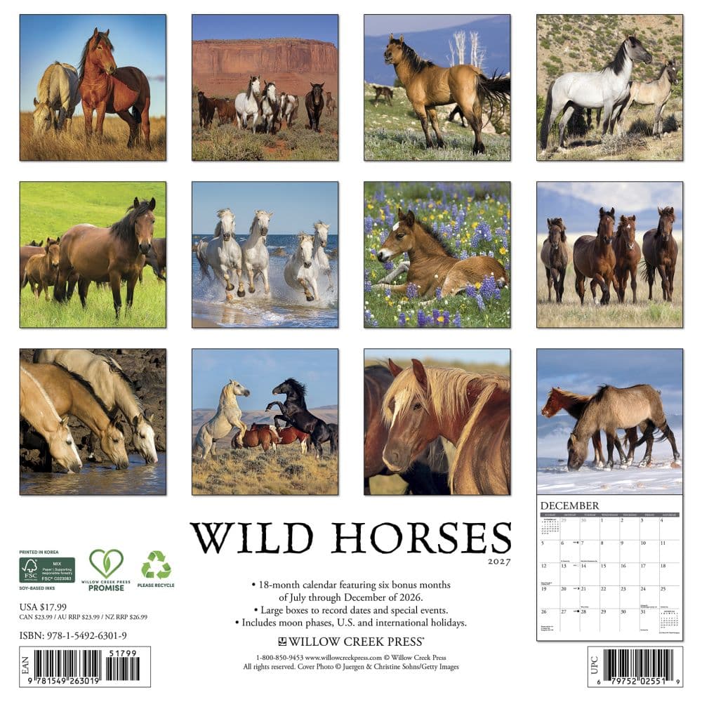 Wild Horses 2027 Wall Calendar First Alternate Image