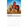 image Wild Horses 2027 Wall Calendar Second Alternate Image