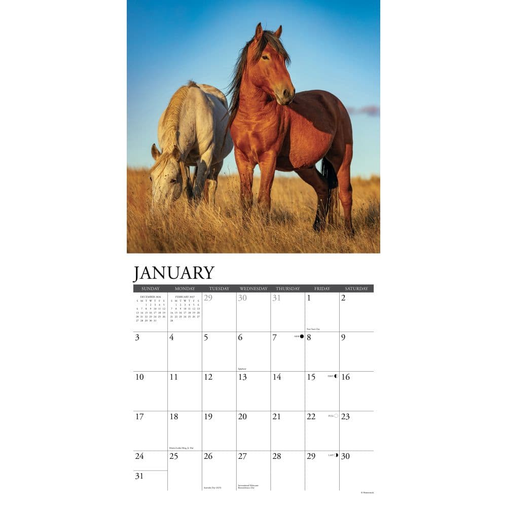 Wild Horses 2027 Wall Calendar Second Alternate Image