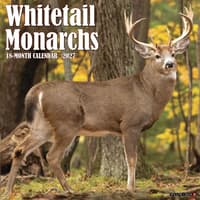 image Whitetail Monarchs 2027 Wall Calendar Main Product Image