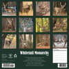 image Whitetail Monarchs 2027 Wall Calendar First Alternate Image