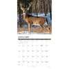 image Whitetail Monarchs 2027 Wall Calendar Second Alternate Image
