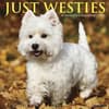 image Just Westies 2027 Wall Calendar Main Product Image