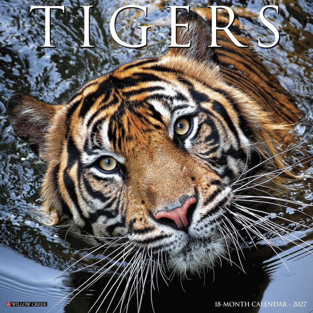 image Tigers 2027 Wall Calendar Main Product Image