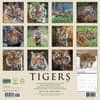 image Tigers 2027 Wall Calendar First Alternate Image