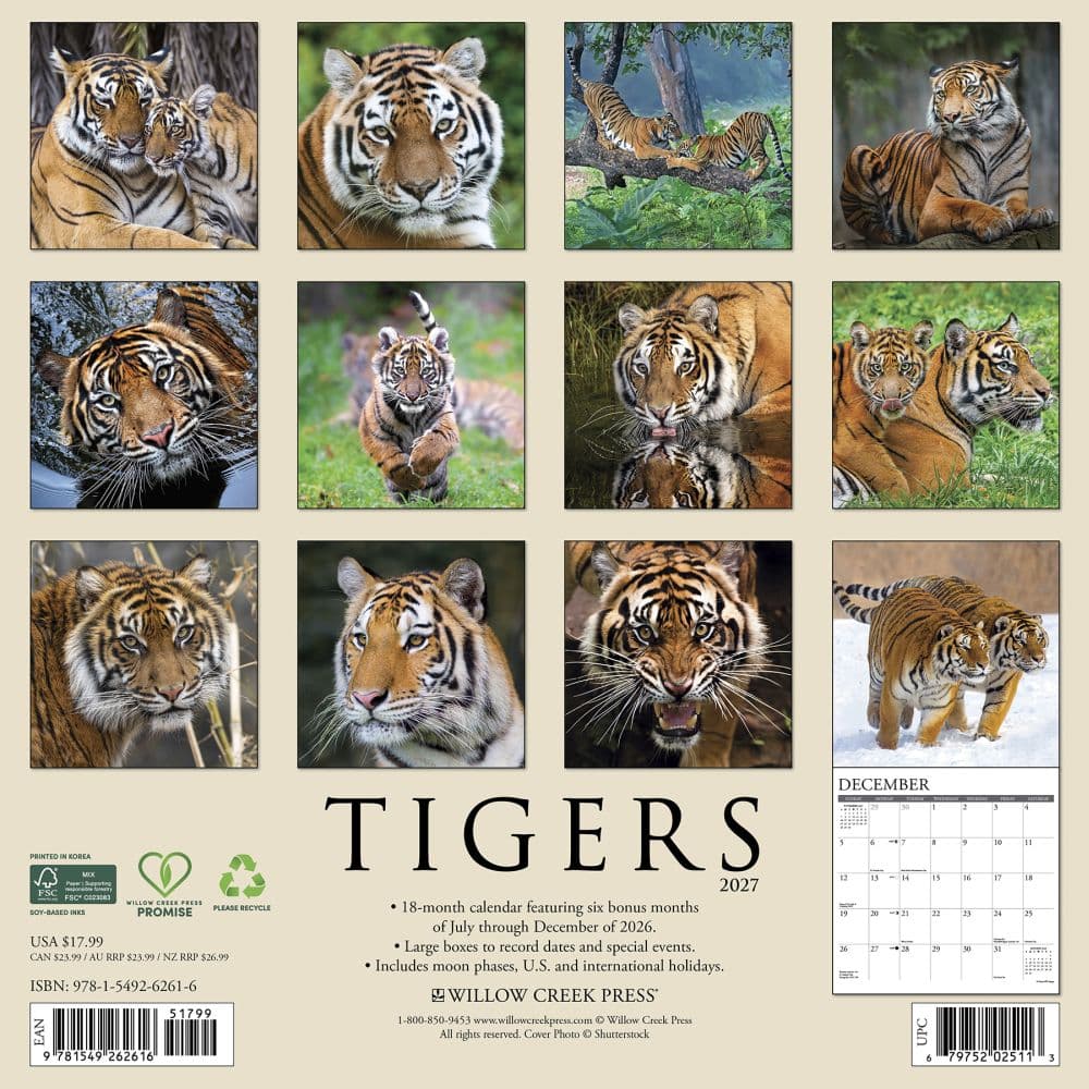 Tigers 2027 Wall Calendar First Alternate Image