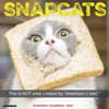 image Snapcats 2027 Wall Calendar Main Product Image