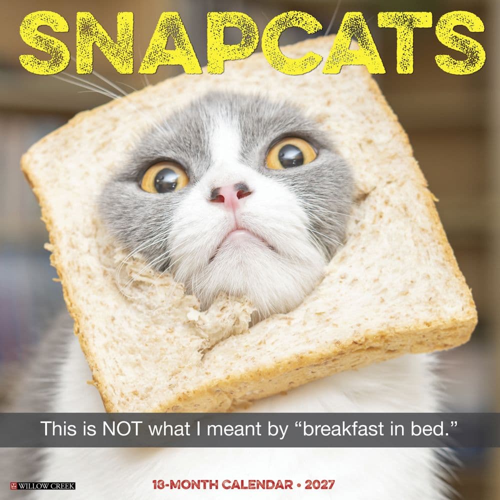 image Snapcats 2027 Wall Calendar Main Product Image
