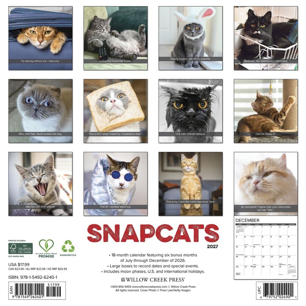 Snapcats 2027 Wall Calendar First Alternate Image