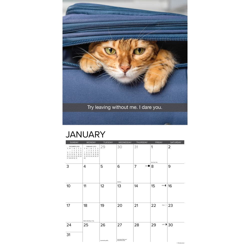 Snapcats 2027 Wall Calendar Second Alternate Image