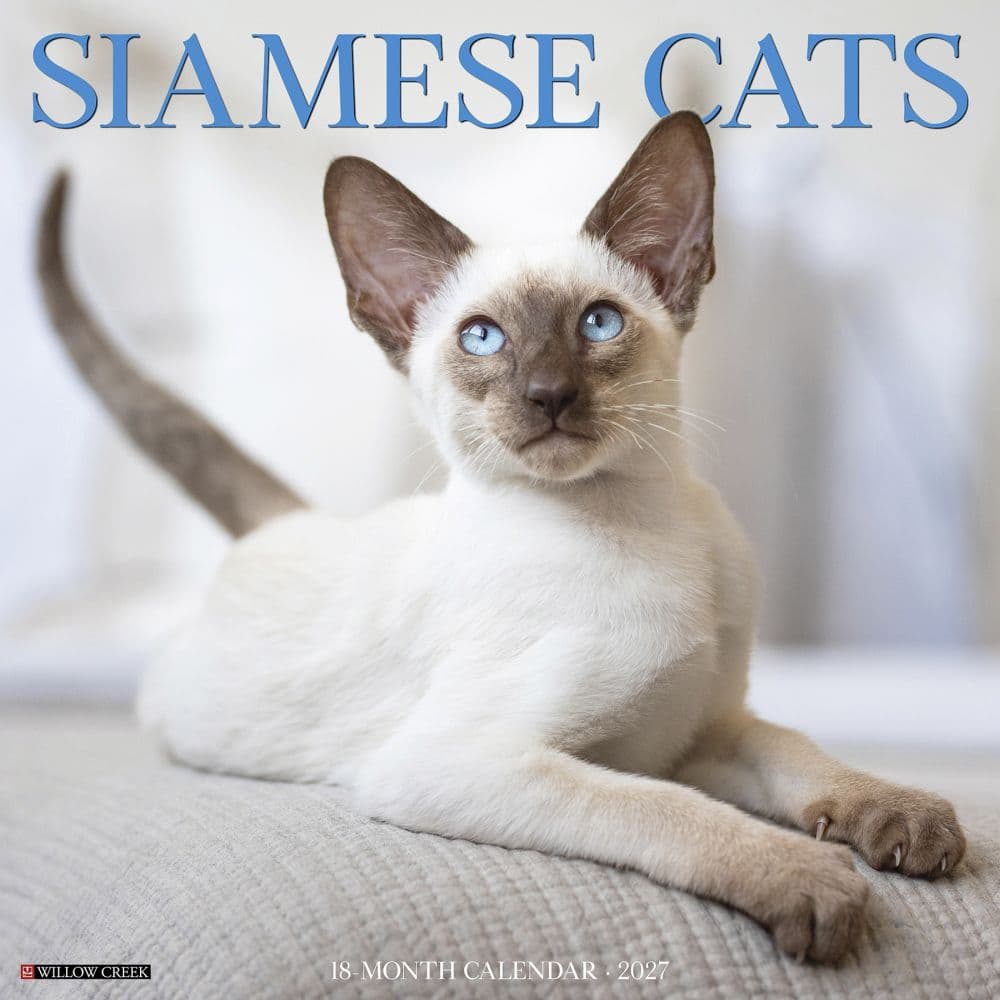 image Siamese Cats 2027 Wall Calendar Main Product Image