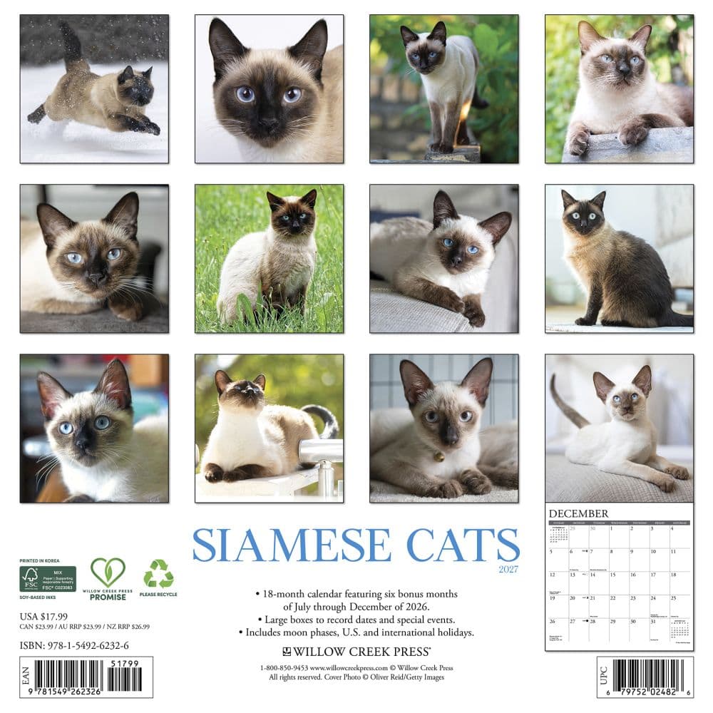 Siamese Cats 2027 Wall Calendar First Alternate Image