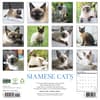 image Siamese Cats 2027 Wall Calendar First Alternate Image