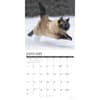image Siamese Cats 2027 Wall Calendar Second Alternate Image