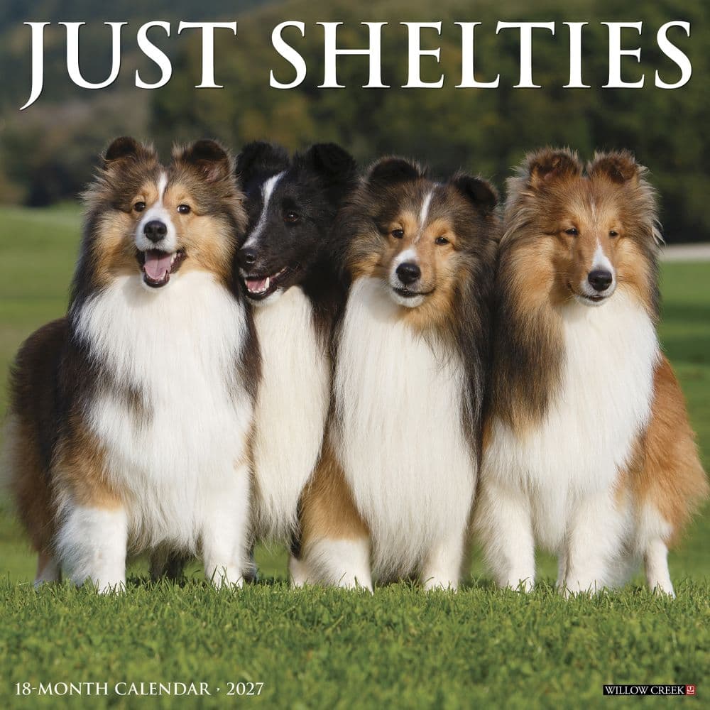 image Just Shelties 2027 Wall Calendar Main Product Image