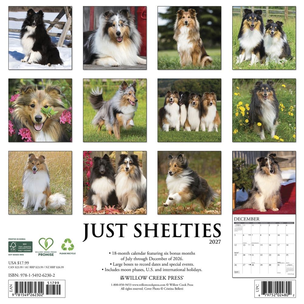 Just Shelties 2027 Wall Calendar First Alternate Image