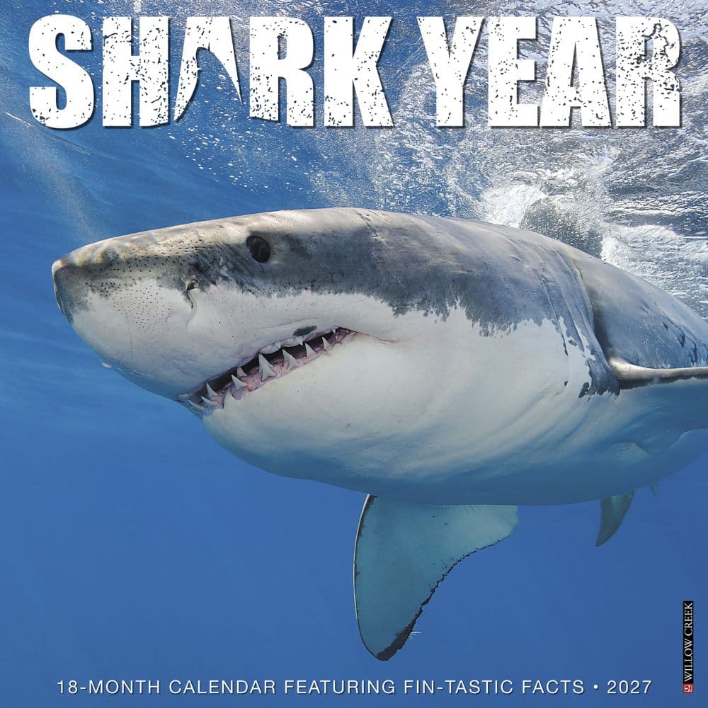 Shark Year 2027 Wall Calendar Main Product Image