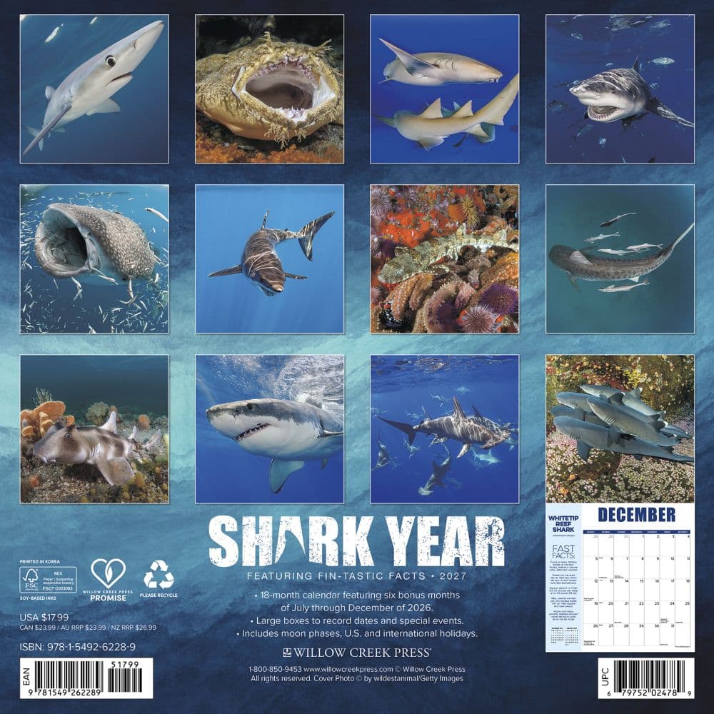 Shark Year 2027 Wall Calendar First Alternate Image