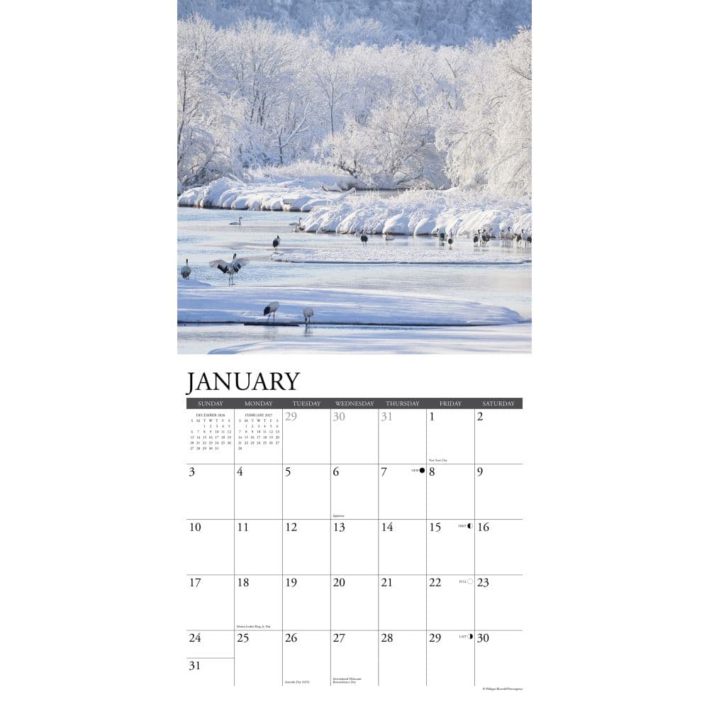 Seasons 2027 Wall Calendar Second Alternate Image