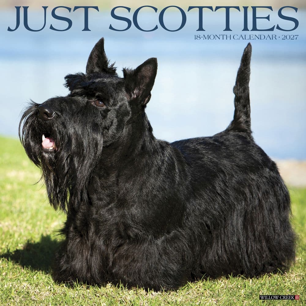 Just Scotties 2027 Wall Calendar Main Product Image