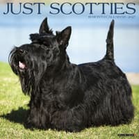 image Just Scotties 2027 Wall Calendar Main Product Image