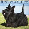 image Just Scotties 2027 Wall Calendar Main Product Image