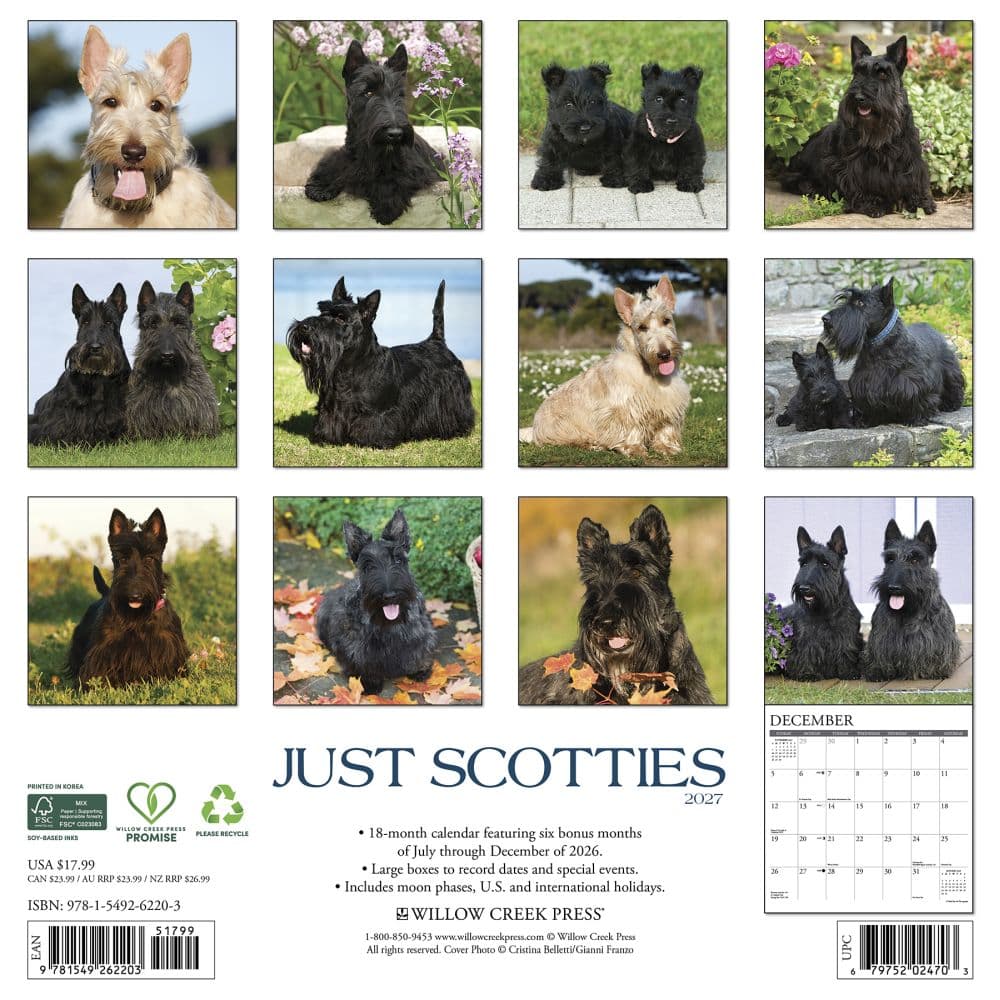Just Scotties 2027 Wall Calendar First Alternate Image