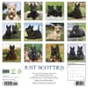 image Just Scotties 2027 Wall Calendar First Alternate Image