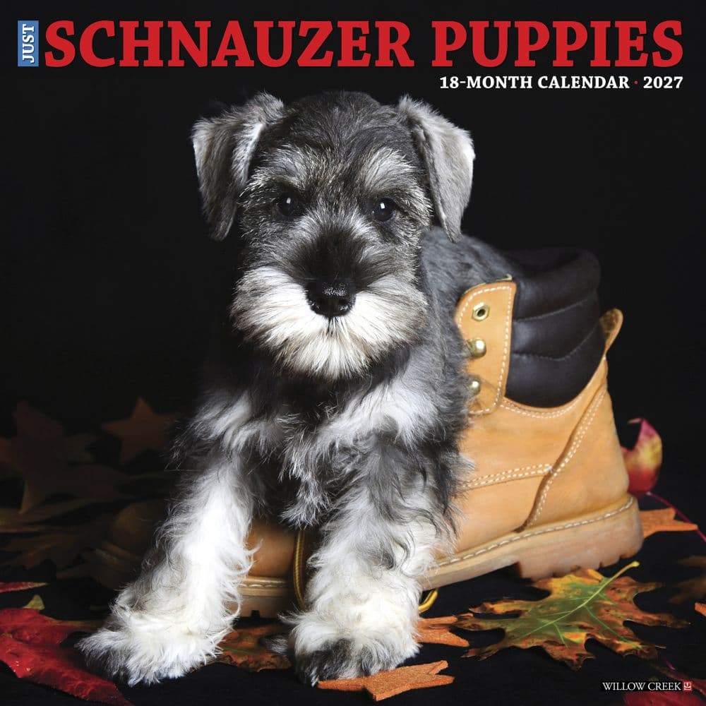 image Just Schnauzer Puppies 2027 Wall Calendar Main Product Image