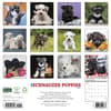 image Just Schnauzer Puppies 2027 Wall Calendar First Alternate Image