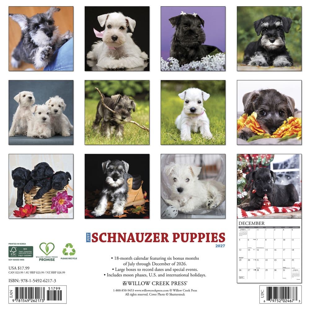 Just Schnauzer Puppies 2027 Wall Calendar First Alternate Image