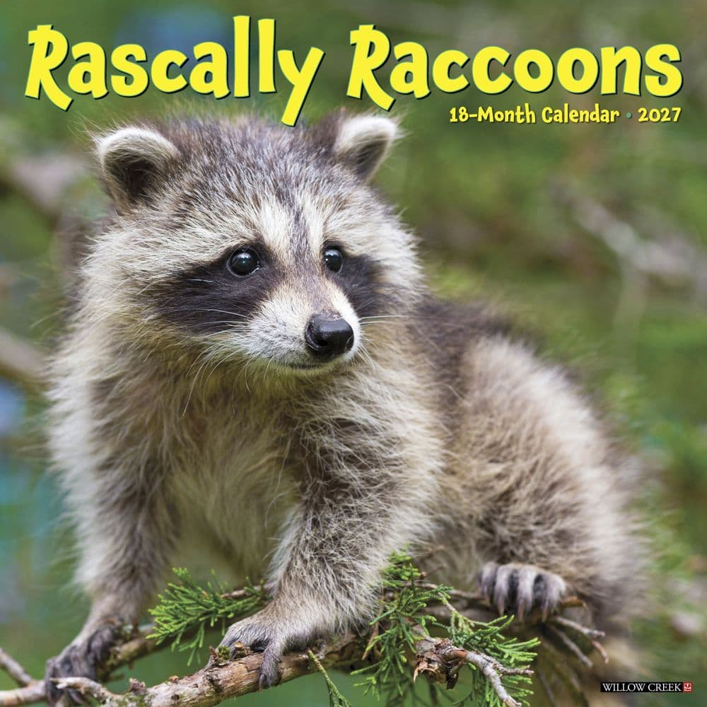 Rascally Raccoons 2027 Wall Calendar Main Product Image