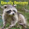 image Rascally Raccoons 2027 Wall Calendar Main Product Image