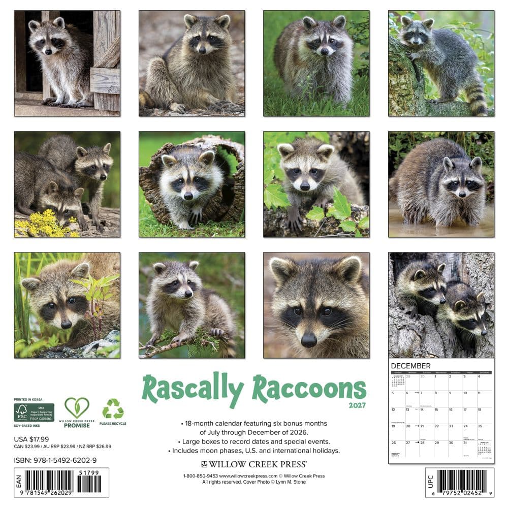Rascally Raccoons 2027 Wall Calendar First Alternate Image