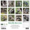 image Rascally Raccoons 2027 Wall Calendar First Alternate Image