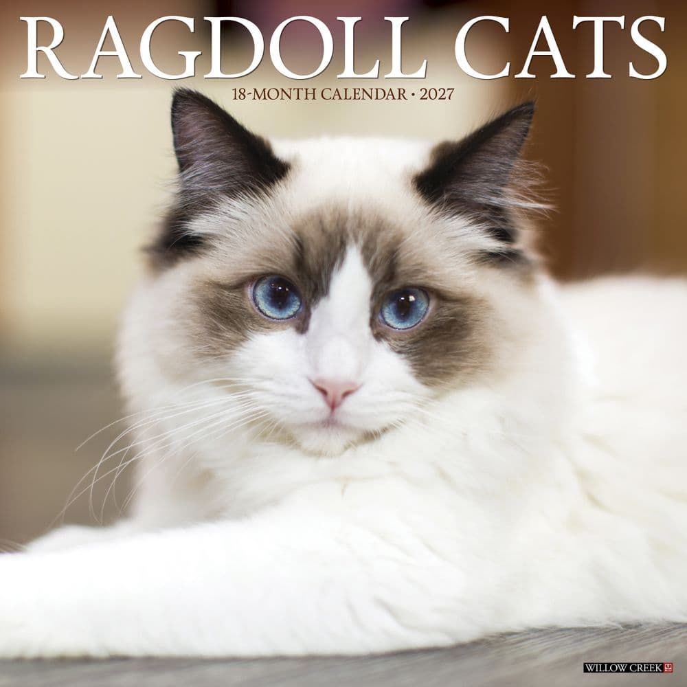 Ragdoll Cats 2027 Wall Calendar Main Product Image