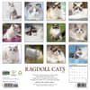 image Ragdoll Cats 2027 Wall Calendar First Alternate Image