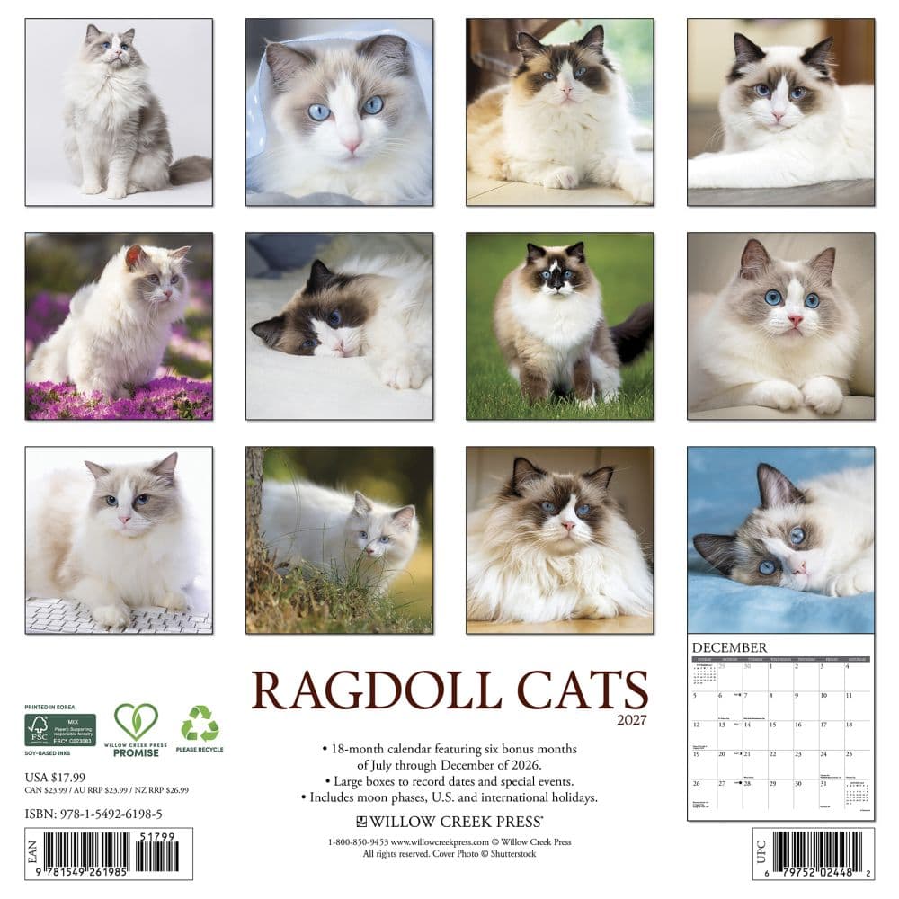 Ragdoll Cats 2027 Wall Calendar First Alternate Image