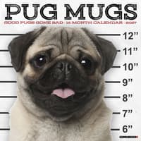 image Pug Mugs 2027 Wall Calendar Main Product Image