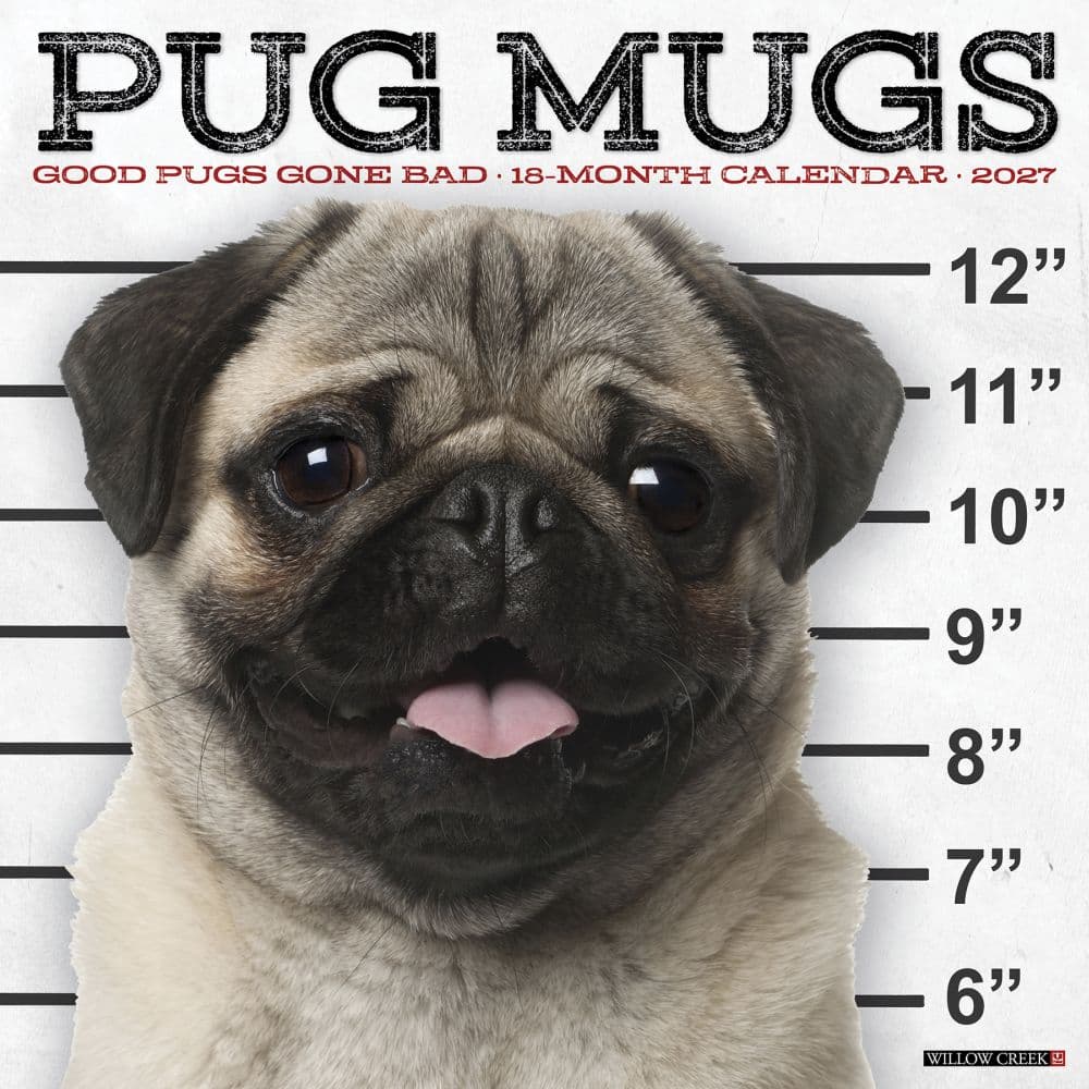 image Pug Mugs 2027 Wall Calendar Main Product Image