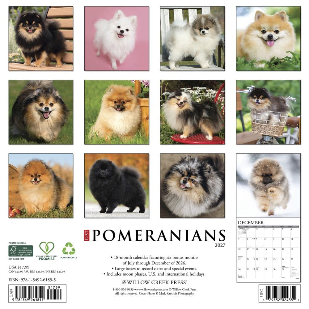 Just Pomeranians 2027 Wall Calendar First Alternate Image