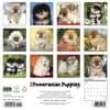 image Just Pomeranian Puppies 2027 Wall Calendar First Alternate Image